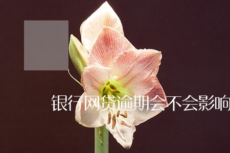 银行网贷逾期会不会影响房贷 银行网贷逾期会不会影响房贷
