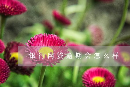 银行网贷逾期会怎么样 银行网贷逾期会怎么样