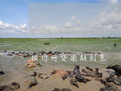 银行网贷逾期利息 银行网贷逾期利息