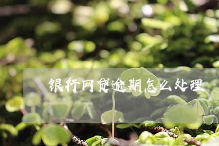 银行网贷逾期怎么处理 银行网贷逾期怎么处理