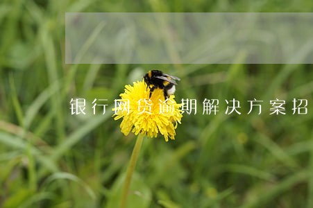 银行网贷逾期解决方案招商