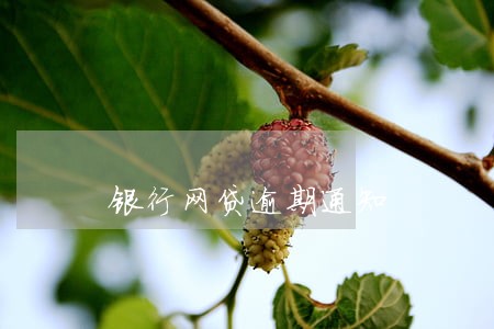银行网贷逾期通知 银行网贷逾期通知