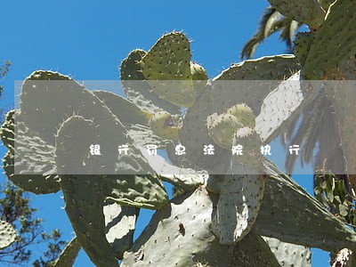 银行罚息法院执行 银行罚息法院执行