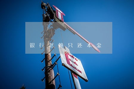 银行老赖只还本金 银行老赖只还本金