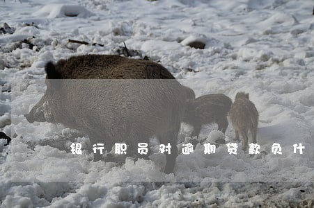 银行职员对逾期贷款负什么责任 银行职员对逾期贷款负什么责任