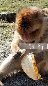 银行职员离职正常逾期率 银行职员离职正常逾期率