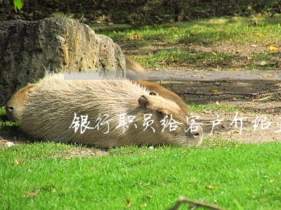 银行职员给客户介绍业务违法吗 银行职员给客户介绍业务违法吗