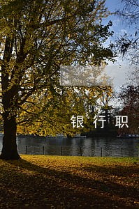 银行职员网贷逾期 银行职员网贷逾期
