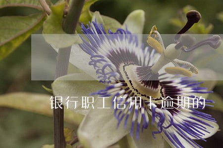 银行职工信用卡逾期的 银行职工信用卡逾期的