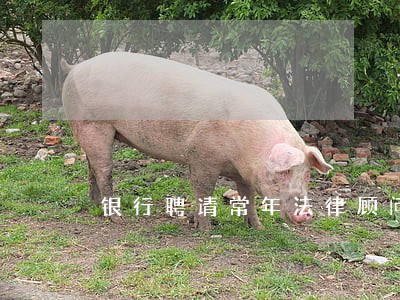 银行聘请常年法律顾问 银行聘请常年法律顾问