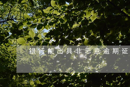 银行能出具非恶意逾期证明吗 银行能出具非恶意逾期证明吗