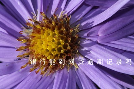 银行能到网贷逾期记录吗 银行能到网贷逾期记录吗
