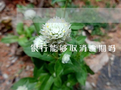 银行能够取消逾期吗 银行能够取消逾期吗