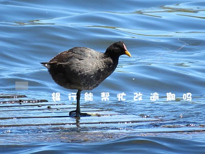 银行能帮忙改逾期吗 银行能帮忙改逾期吗