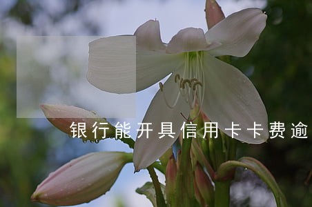 银行能开具信用卡卡费逾期证明吗