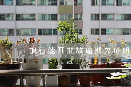 银行能开非故逾期欠证明吗 银行能开非故逾期欠证明吗