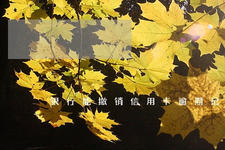 银行能撤销信用卡逾期记录吗