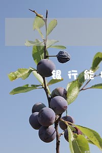 银行能撤销贷款逾期记录吗 银行能撤销贷款逾期记录吗