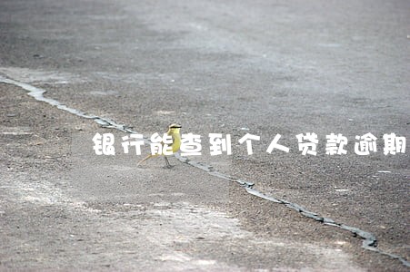 银行能查到个人贷款逾期吗 银行能查到个人贷款逾期吗