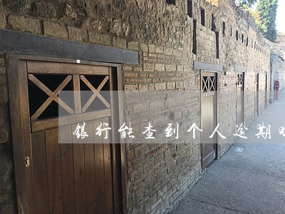 银行能查到个人逾期吗 银行能查到个人逾期吗