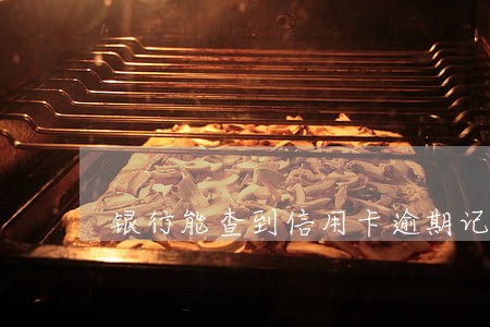 银行能查到信用卡逾期记录吗 银行能查到信用卡逾期记录吗