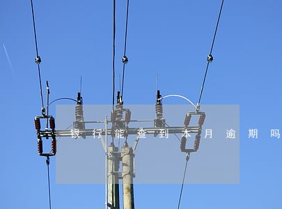 银行能查到本月逾期吗 银行能查到本月逾期吗