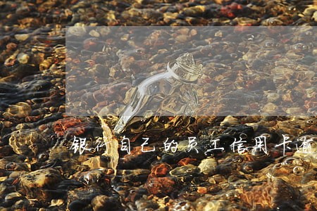 银行自己的员工信用卡逾期 银行自己的员工信用卡逾期