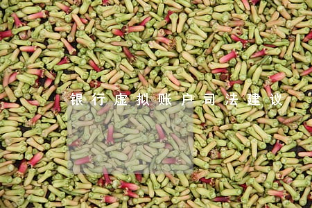 银行虚拟账户司法建议