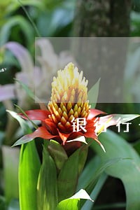银行行长逾期欠款不还怎么投诉 银行行长逾期欠款不还怎么投诉