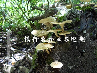 银行表外业务逾期 银行表外业务逾期