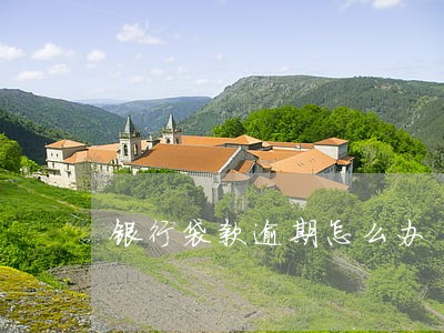 银行袋款逾期怎么办