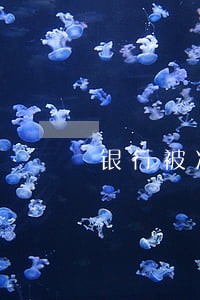 银行被冻结倒是贷款逾期 银行被冻结倒是贷款逾期