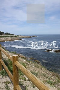 银行观察期逾期 银行观察期逾期
