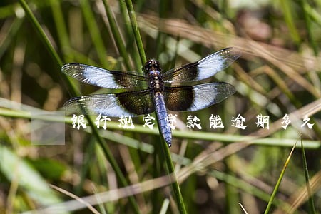 银行规定贷款能逾期多久 银行规定贷款能逾期多久
