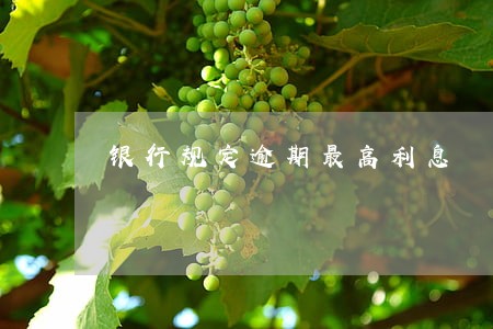 银行规定逾期最高利息 银行规定逾期最高利息