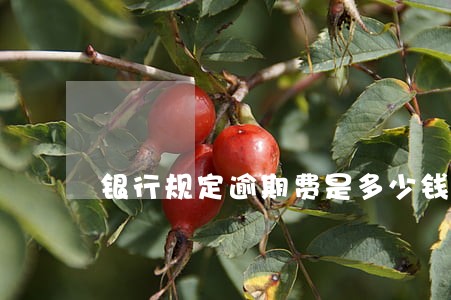 银行规定逾期费是多少钱