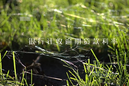 银行计收逾期贷款利率
