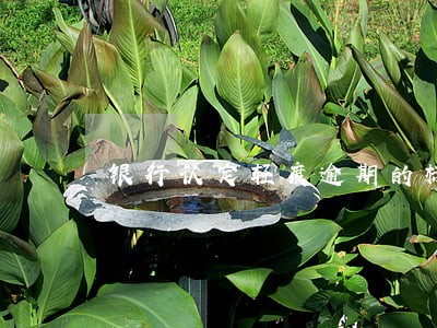 银行认定轻度逾期的标准 银行认定轻度逾期的标准