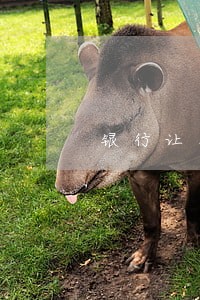 银行让写征信逾期说明 银行让写征信逾期说明
