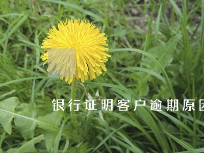 银行证明客户逾期原因 银行证明客户逾期原因