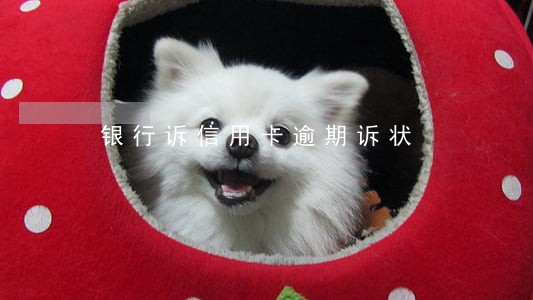 银行诉信用卡逾期诉状