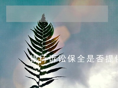银行诉讼保全是否提供担保 银行诉讼保全是否提供担保