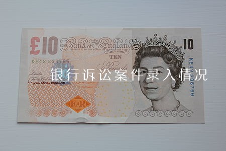 银行诉讼案件录入情况