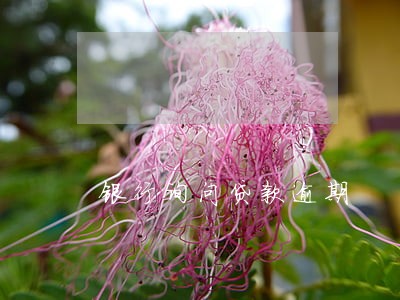 银行询问贷款逾期 银行询问贷款逾期