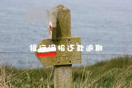 银行误报还款逾期 银行误报还款逾期