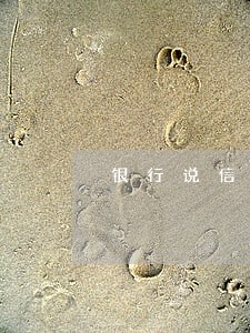 银行说信用卡有逾期不给贷款