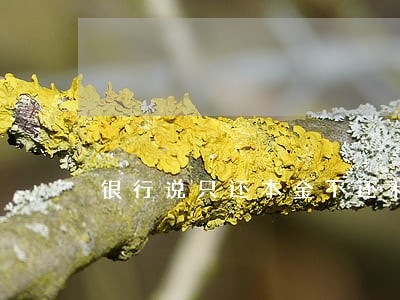 银行说只还本金不还利息 银行说只还本金不还利息
