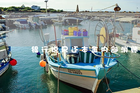 银行说只还本金内部消账 银行说只还本金内部消账