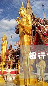 银行说只还本金可以吗 银行说只还本金可以吗