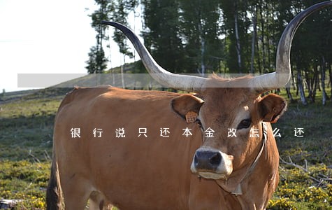 银行说只还本金改怎么还